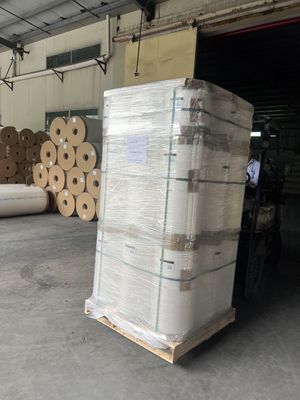 Film de lamination thermique 30 MICRONS avec surface lisse et dureté douce pour la plastification numérique