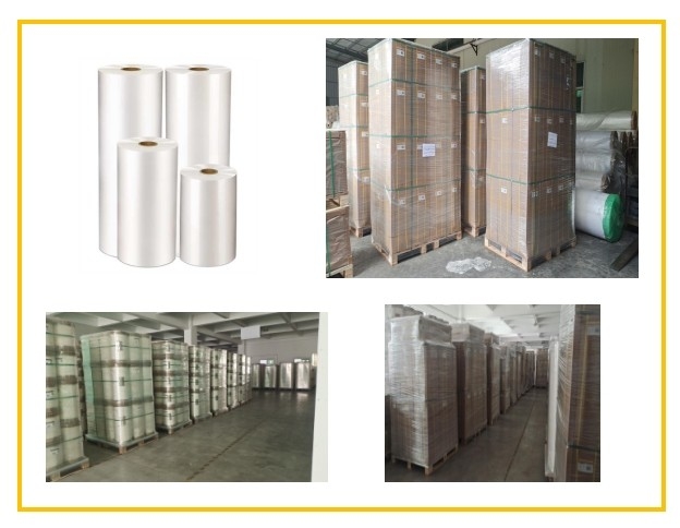 Film de laminage thermique BOPP abordable et durable pour les produits en papier