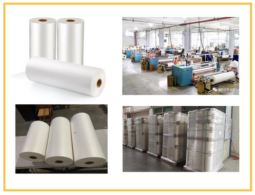 Surface de revêtement de l'impression offset BOPP Matte Lamination Film Transparent Extruded