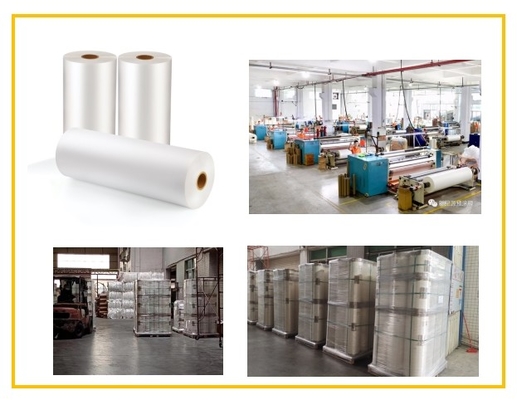 SGS 15 Micron BOPP Film de stratification thermique pour les couvertures de livres