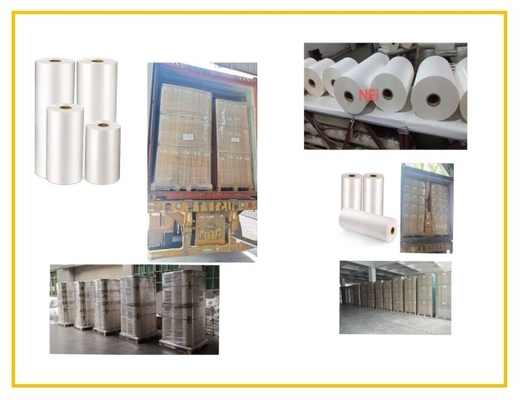 Film anti rayures polyvalent pour les environnements froids et thermiques
